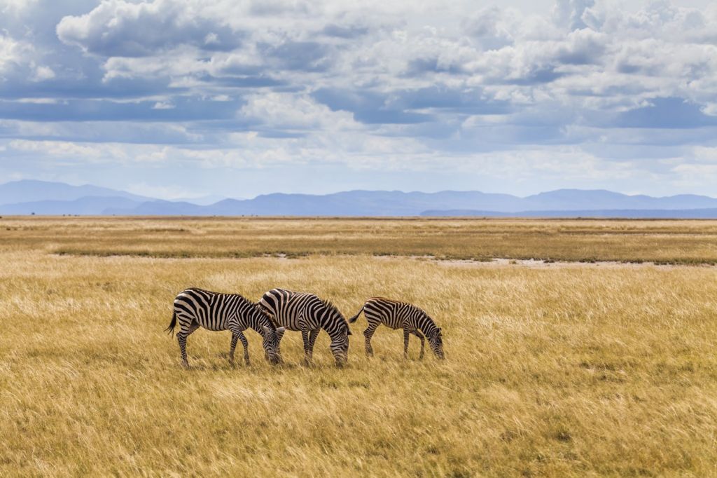 Maasai Mara National Reserve